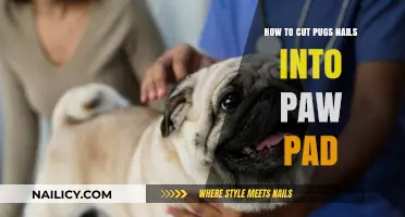 Trimming Your Pug's Nails: A Step-by-Step Guide