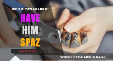 Calmly Clipping: Trimming Your Pup's Nails Stress-Free