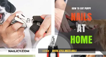 Cutting Puppy Nails: A Step-by-Step Guide for Beginners