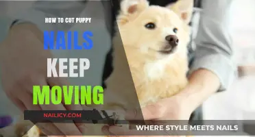Calmly Trim Your Puppy's Nails: A Step-by-Step Guide