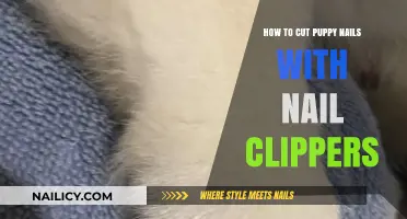 Clipping Puppy Nails: A Step-by-Step Guide for New Owners