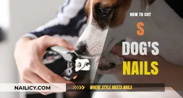 Trimming Your Dog's Nails: A Step-by-Step Guide