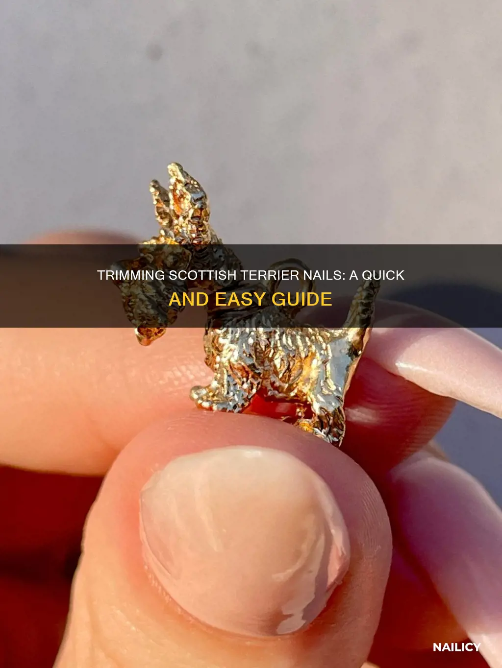 how to cut scottish terrier nails