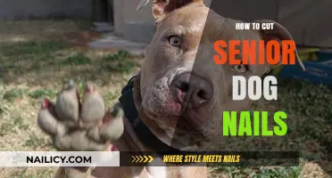 Trimming Your Senior Dog's Nails: A Step-by-Step Guide