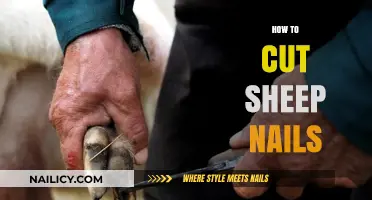 Sheep Nail Care: A Step-by-Step Guide