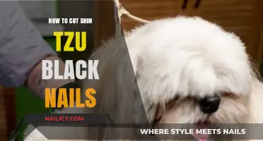 Trimming Your Shih Tzu's Black Nails Safely at Home