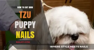 Trimming Your Shih Tzu Puppy's Nails: A Step-by-Step Guide