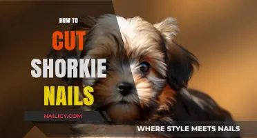 Trimming Shorkie Nails: A Step-by-Step Guide