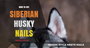 Trimming Your Husky's Nails: A Step-by-Step Guide