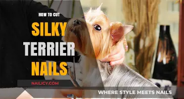 Trimming Silky Terrier Nails: A Step-by-Step Guide