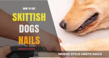 Calmly Trimming Your Dog's Nails: A Step-by-Step Guide
