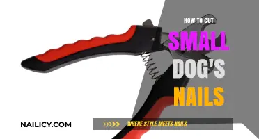 Trimming Your Small Dog's Nails: A Step-by-Step Guide