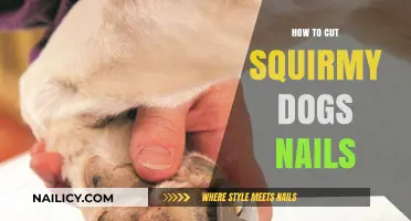 Calmly Trim Your Dog's Nails: A Step-by-Step Guide
