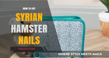 Trimming Nails: A Syrian Hamster Guide