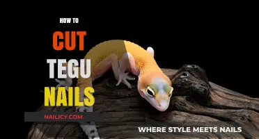 Trimming Tegu Nails: A Simple Guide
