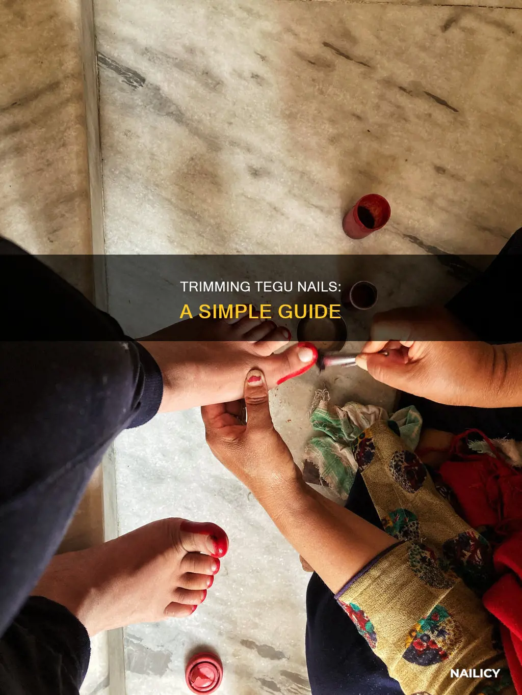 how to cut tegu nails