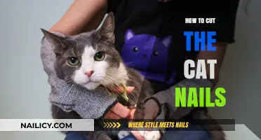 Trimming Cat Nails: A Step-by-Step Guide