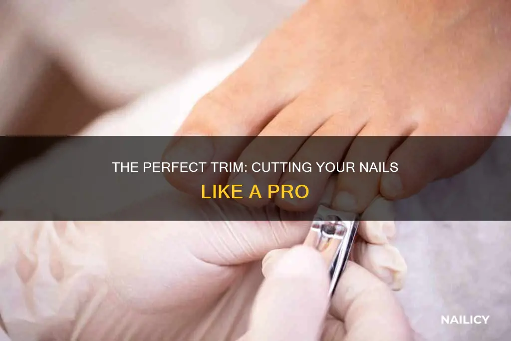 how to cut the end of a nail