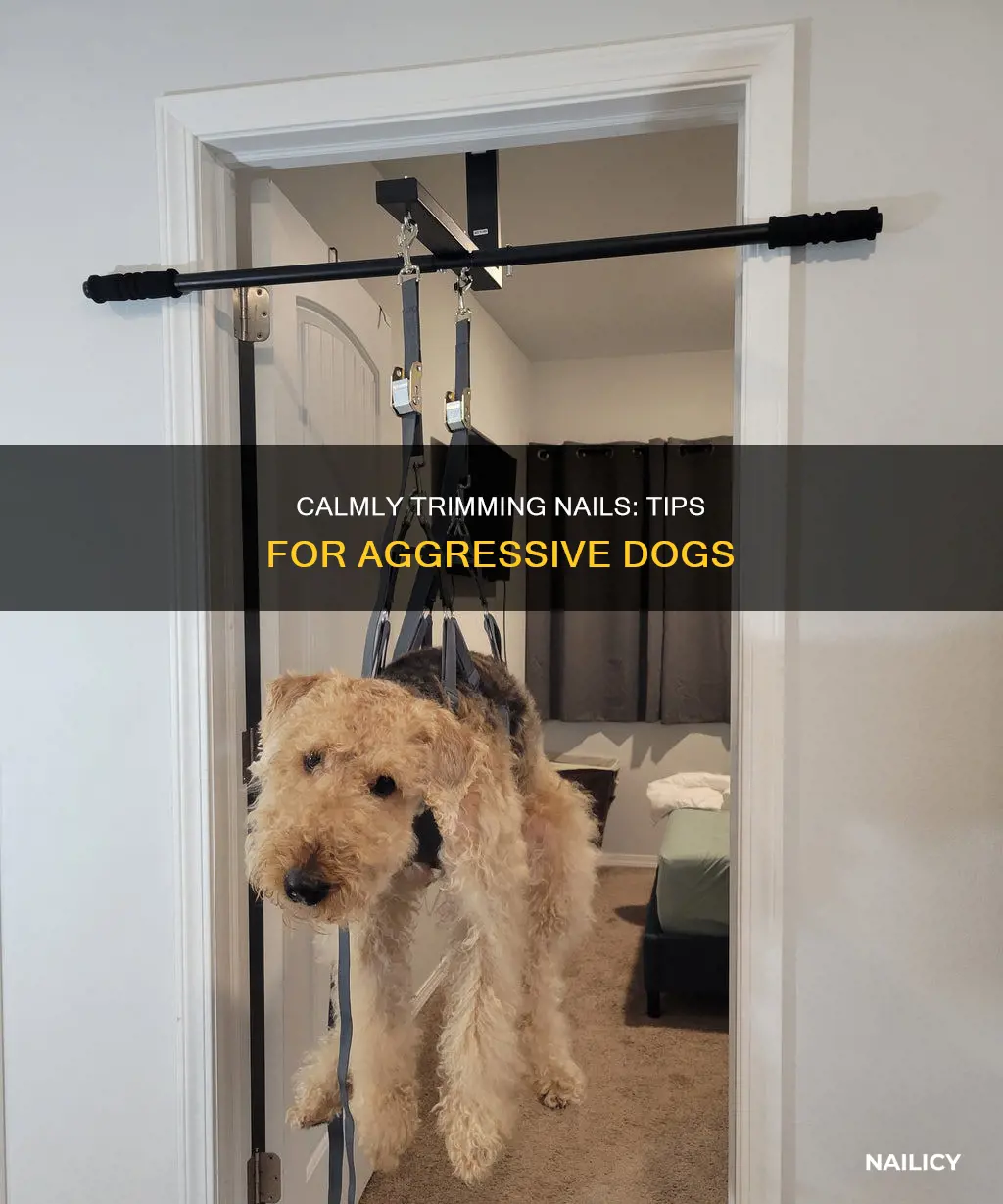 how to cut the nail of an agressive dog