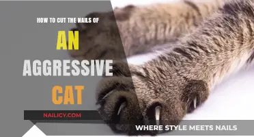 Calmly Clipping an Aggressive Cat's Nails