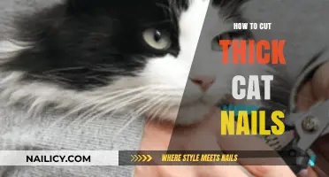 Trimming Your Cat's Thick Nails: A Step-by-Step Guide