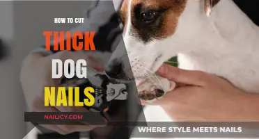 Trimming Your Dog's Thick Nails: A Step-by-Step Guide