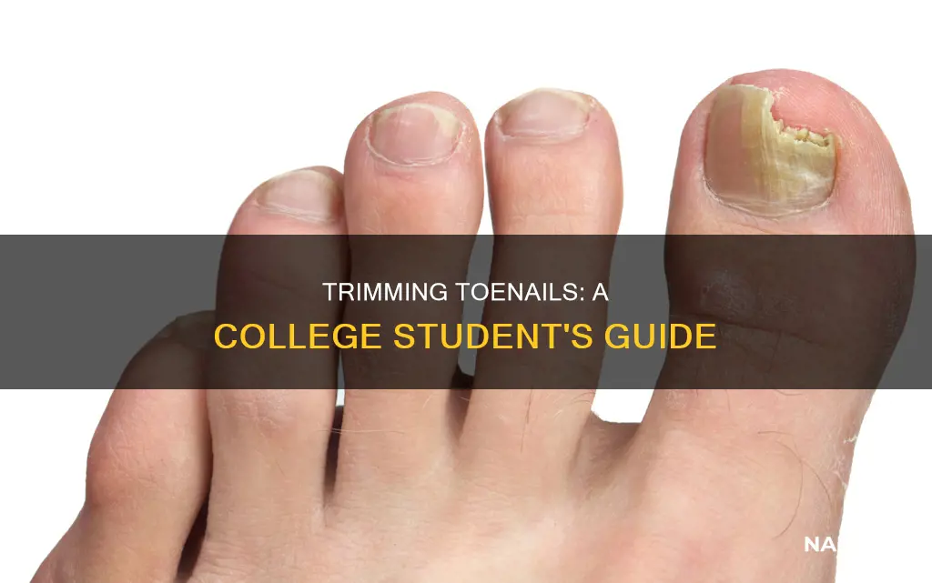 how to cut toe nails in college