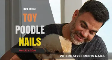 Trimming Your Toy Poodle's Nails: A Step-by-Step Guide
