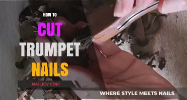 The Perfect Trumpet Nails: A Simple Cutting Guide