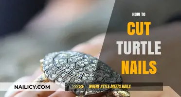 Trimming Turtle Nails: A Step-by-Step Guide