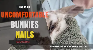 Calmly Trimming Your Bunny's Nails: A Step-by-Step Guide
