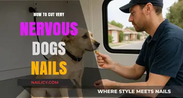 Calmly Trimming Your Dog's Nails: A Step-by-Step Guide