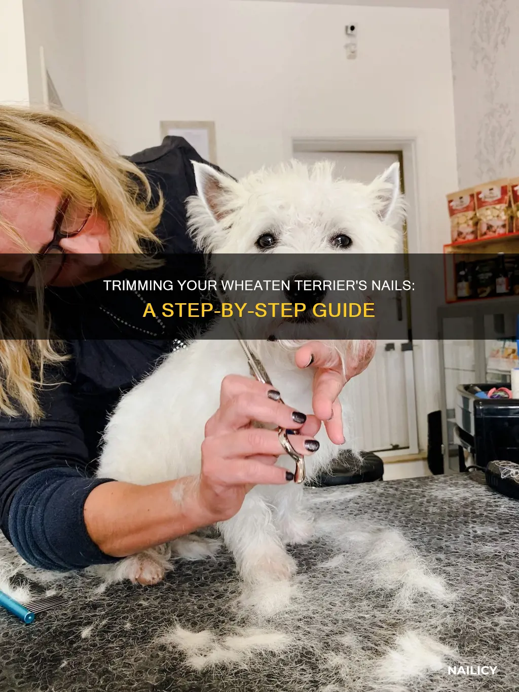 how to cut wheaten terrier nails