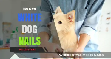 Trimming White Dog Nails: A Step-by-Step Guide
