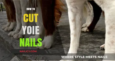 Trimming Your Own Nails: A Step-by-Step Guide