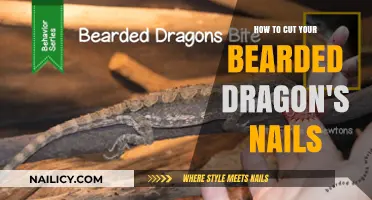 Trimming Your Bearded Dragon's Nails: A Step-by-Step Guide