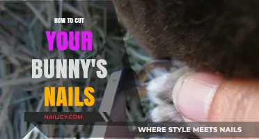 Trimming Your Rabbit's Nails: A Step-by-Step Guide