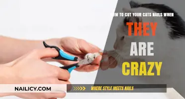 Calmly Trimming Cat Claws: Strategies for Success