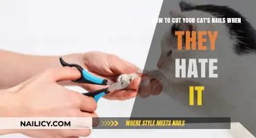 Calmly Trim Your Cat's Nails: Tips for a Stress-Free Trim