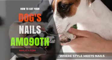 Clipping Your Dog's Nails: A Smooth and Easy Guide