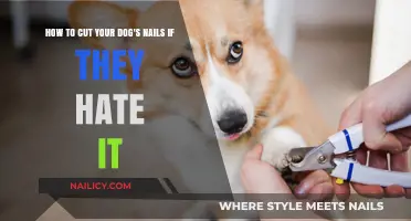 Calmly Trim Your Dog's Nails: Tips for a Stress-Free Trim