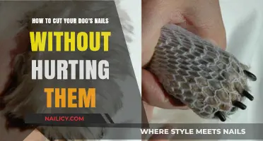 Clipping Dog Nails: A Pain-Free Guide