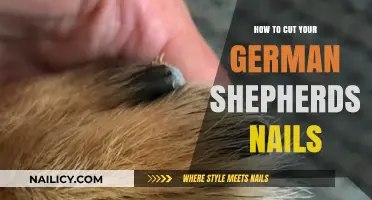 Trimming Your German Shepherd's Nails: A Step-by-Step Guide