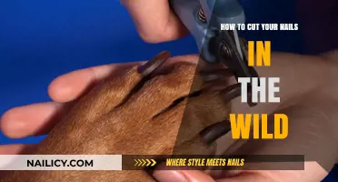 Nail Care in the Wild: A Practical Guide
