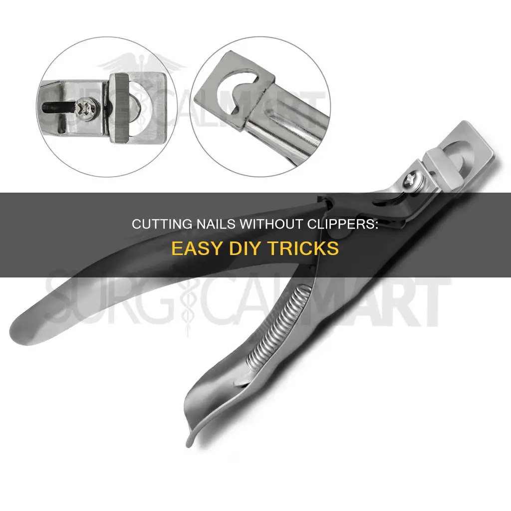 how to cut your nails without a clipper