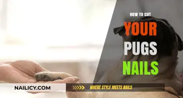 Trimming Your Pug's Nails: A Step-by-Step Guide