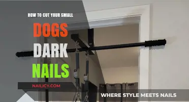 Trimming Your Small Dog's Dark Nails Safely