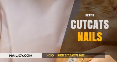 Easy Tips for Trimming Your Cat's Nails Stress-Free at Home