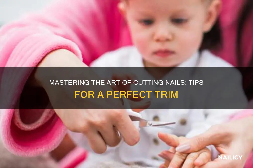 how to cyt a nail