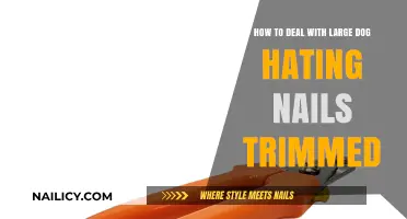 Trim Nails, Calmly: Tips for Large Dog Owners